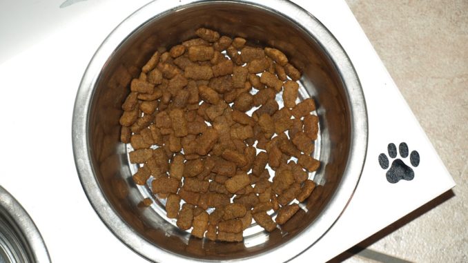 futter für welpen welpenfutter