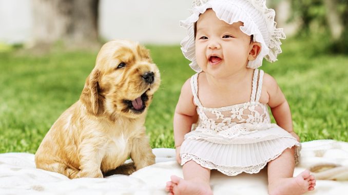 hund und kind welpe und kleinkind