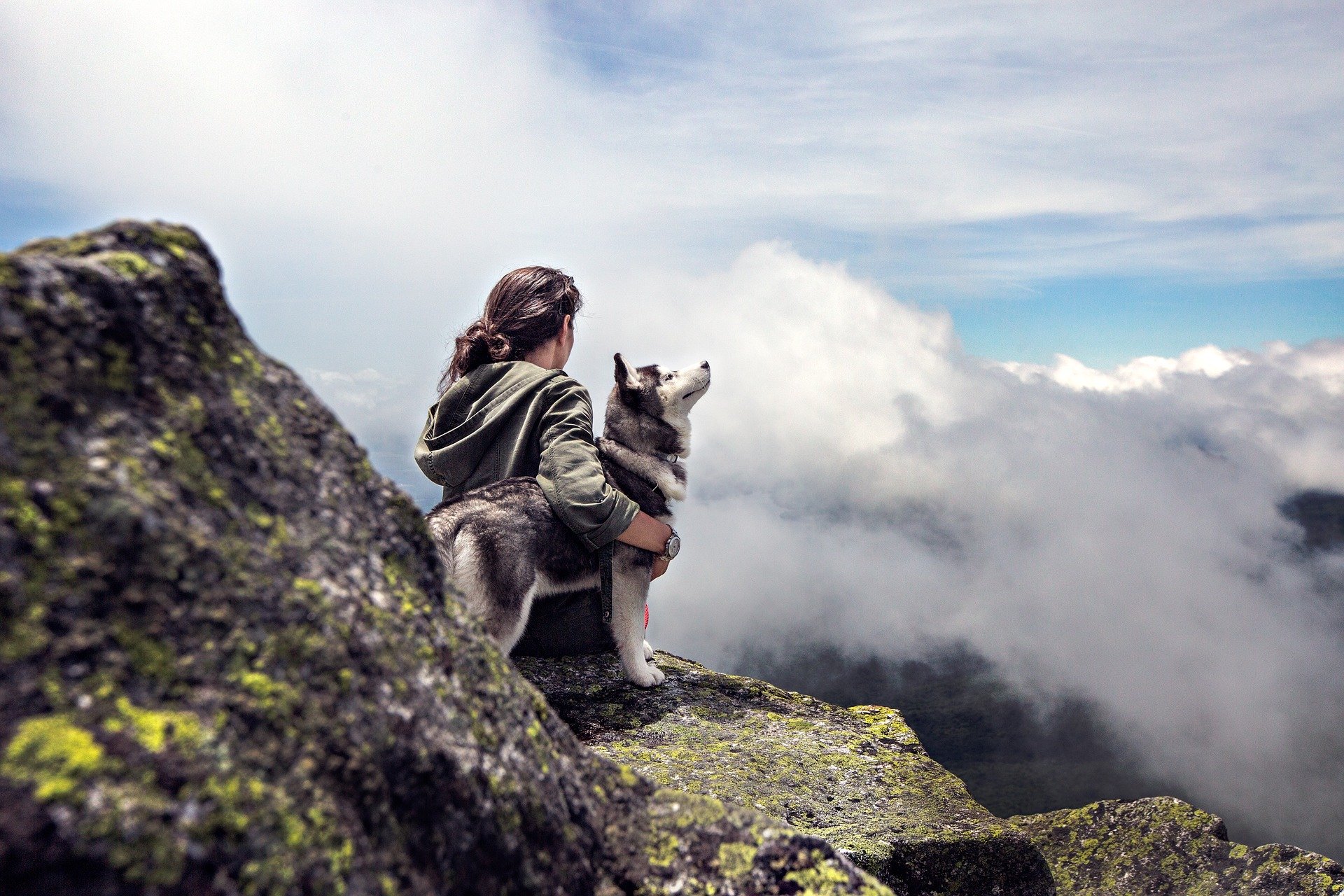 GPS Tracker Hunde
