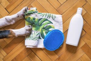 Tipps und Tricks für die Pflege von Hundewelpen